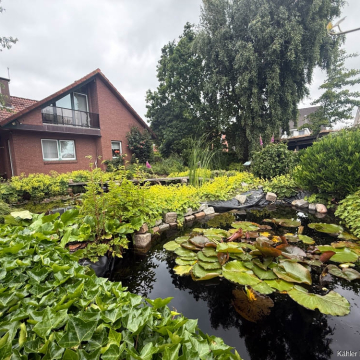 Blick über den Teich auf das Haus