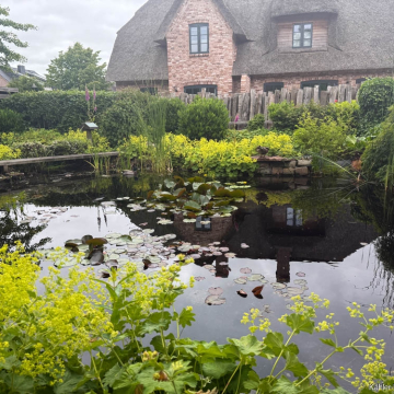 Blick von der Terrasse auf den Teich