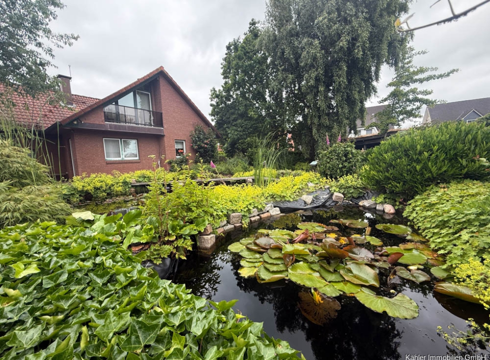 Blick über den Teich auf das Haus